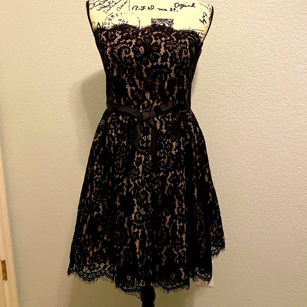 Robert Rodriguez for Target lace strapless dress